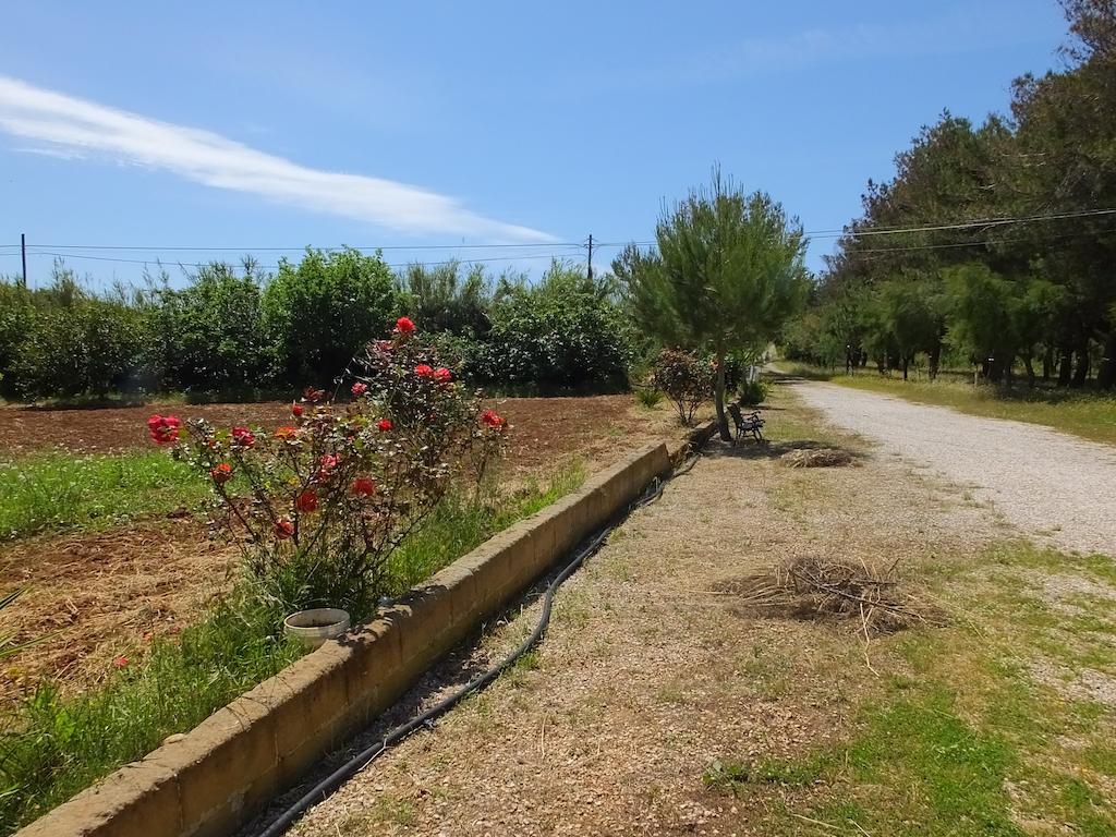 Villa Boschetto B&B - Apartments Maruggio Eksteriør billede